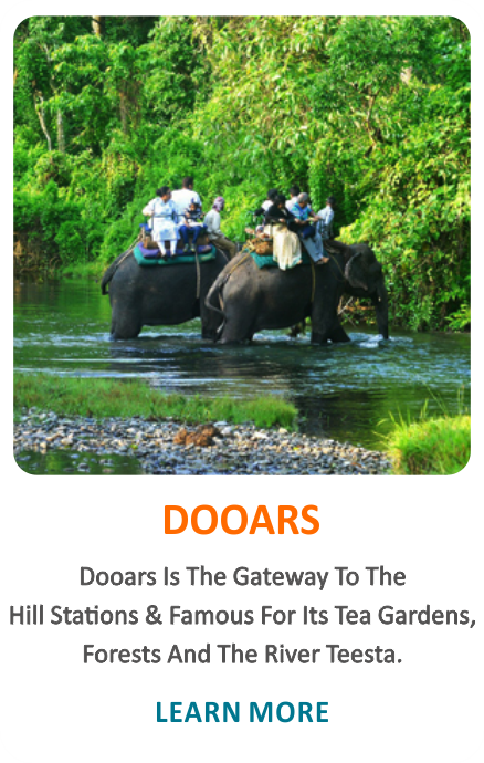 dooars-home